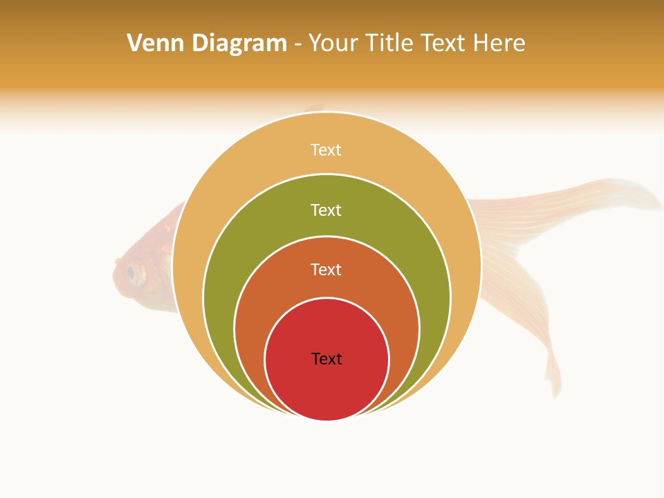 Gold Fish Swimming Isolated On A White Background PowerPoint Template