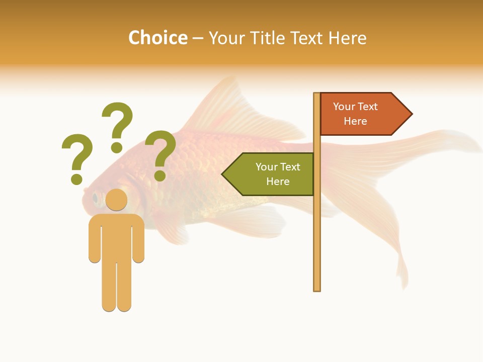 Gold Fish Swimming Isolated On A White Background PowerPoint Template