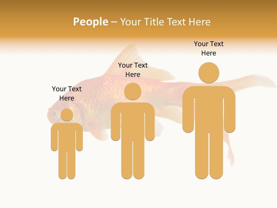 Gold Fish Swimming Isolated On A White Background PowerPoint Template