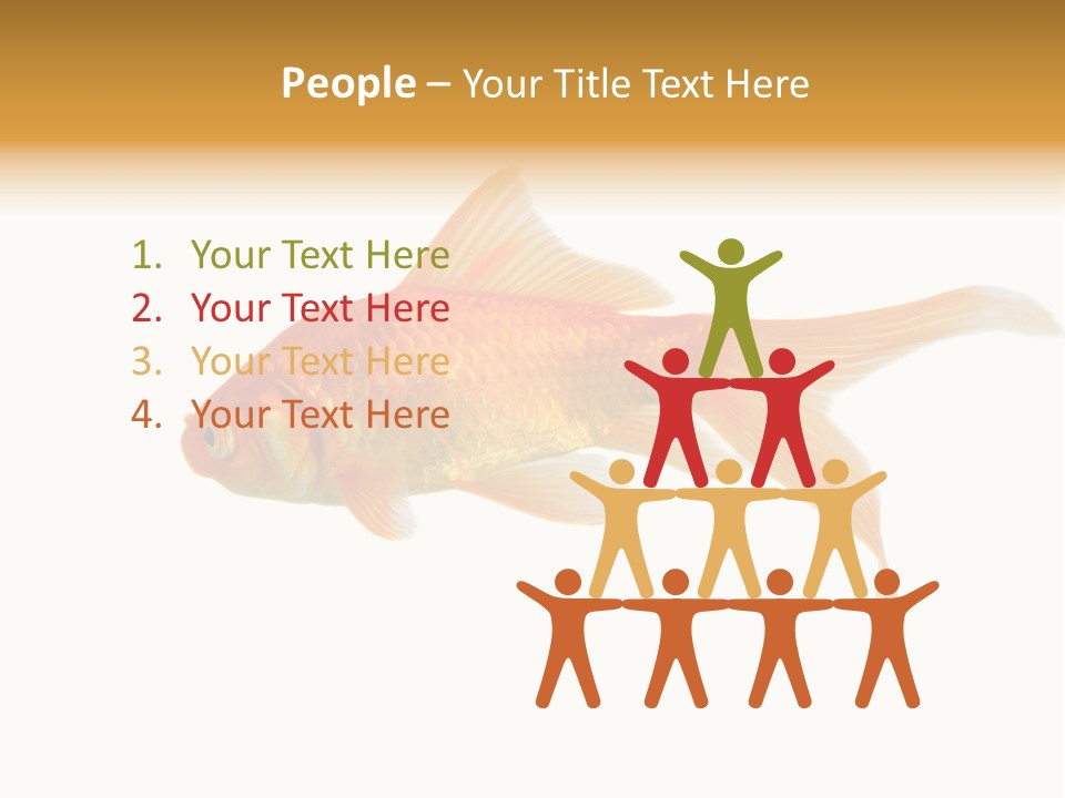 Gold Fish Swimming Isolated On A White Background PowerPoint Template