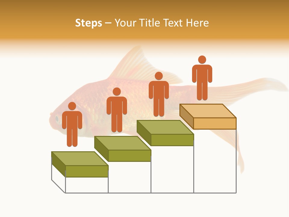 Gold Fish Swimming Isolated On A White Background PowerPoint Template