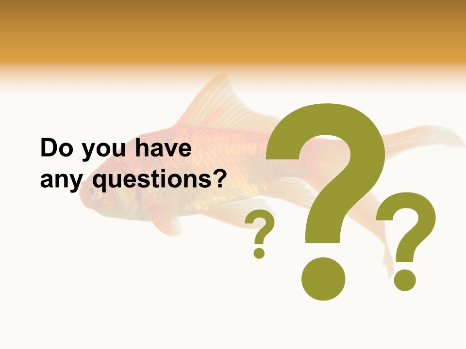 Gold Fish Swimming Isolated On A White Background PowerPoint Template