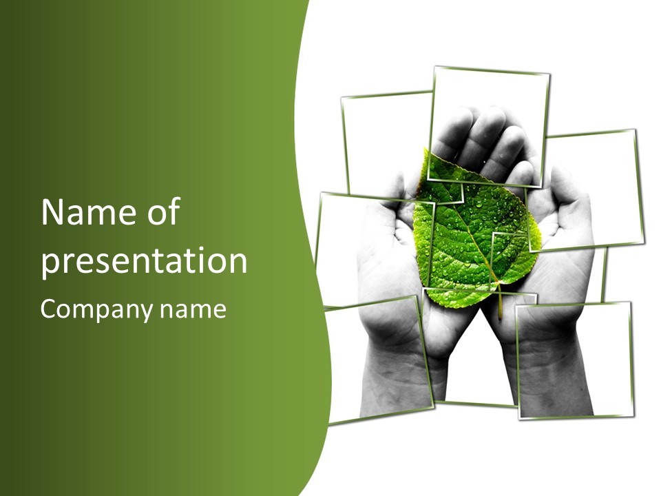 Photo Collage.green Leaf In Human Hands PowerPoint Template