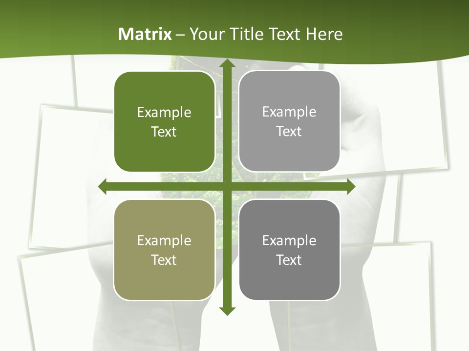 Photo Collage.green Leaf In Human Hands PowerPoint Template