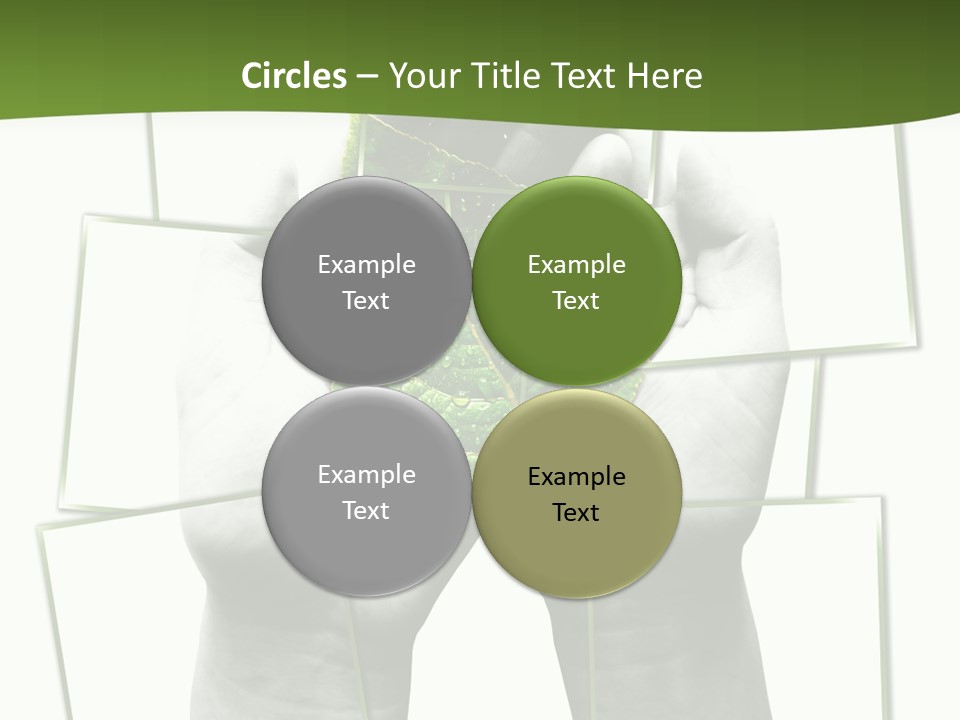 Photo Collage.green Leaf In Human Hands PowerPoint Template