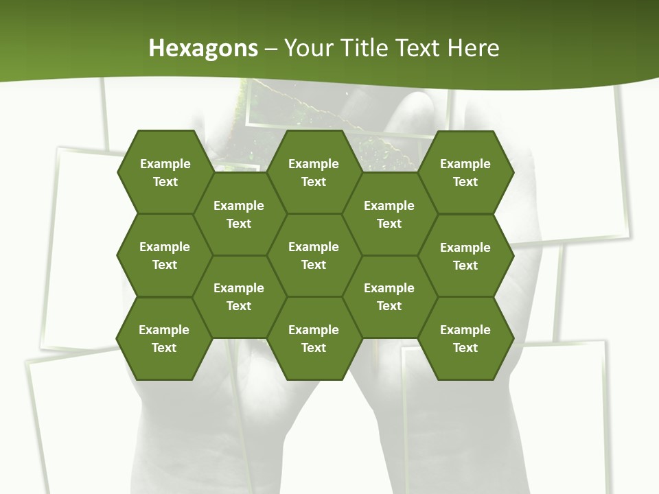 Photo Collage.green Leaf In Human Hands PowerPoint Template