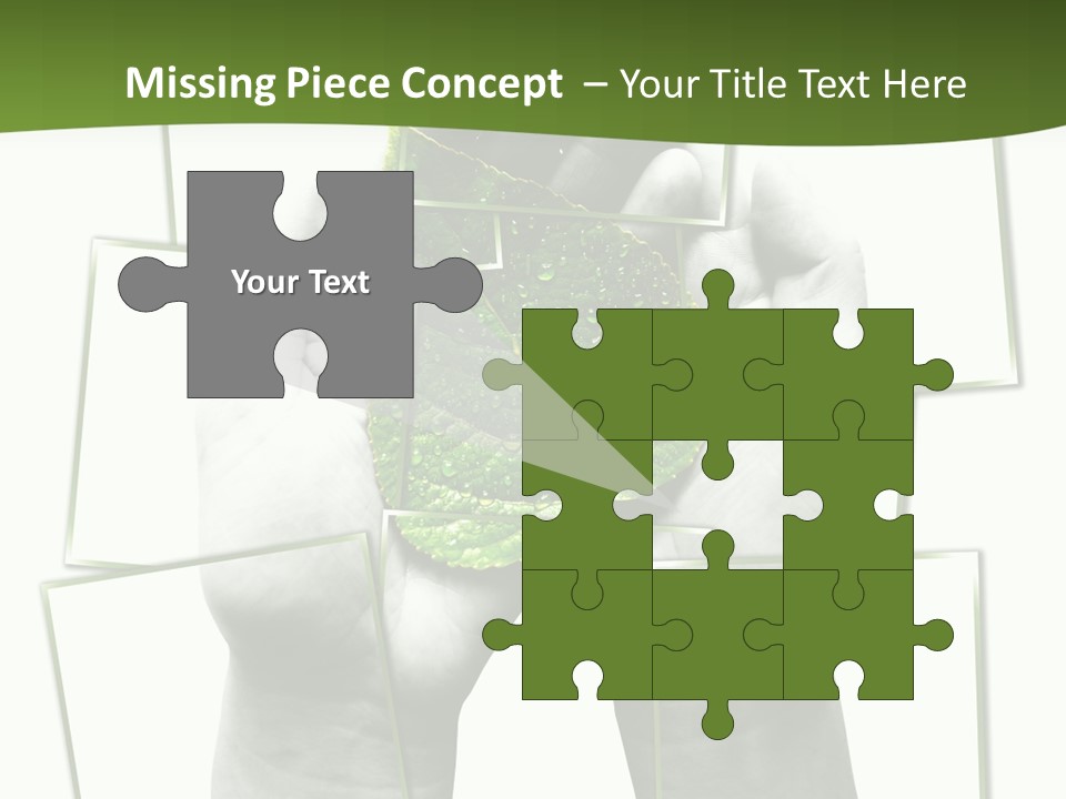 Photo Collage.green Leaf In Human Hands PowerPoint Template
