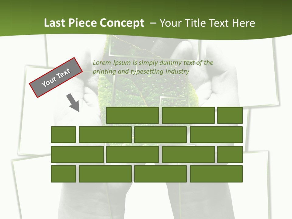 Photo Collage.green Leaf In Human Hands PowerPoint Template