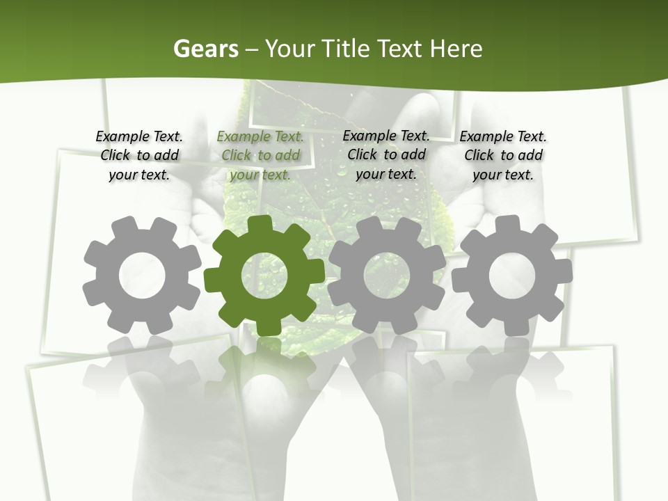 Photo Collage.green Leaf In Human Hands PowerPoint Template