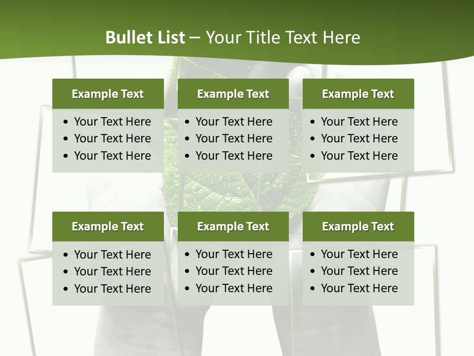 Photo Collage.green Leaf In Human Hands PowerPoint Template
