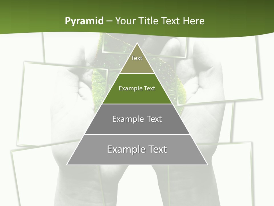 Photo Collage.green Leaf In Human Hands PowerPoint Template