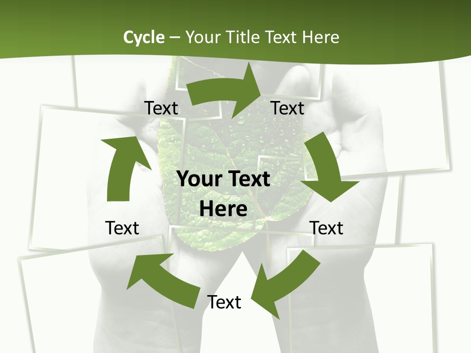 Photo Collage.green Leaf In Human Hands PowerPoint Template