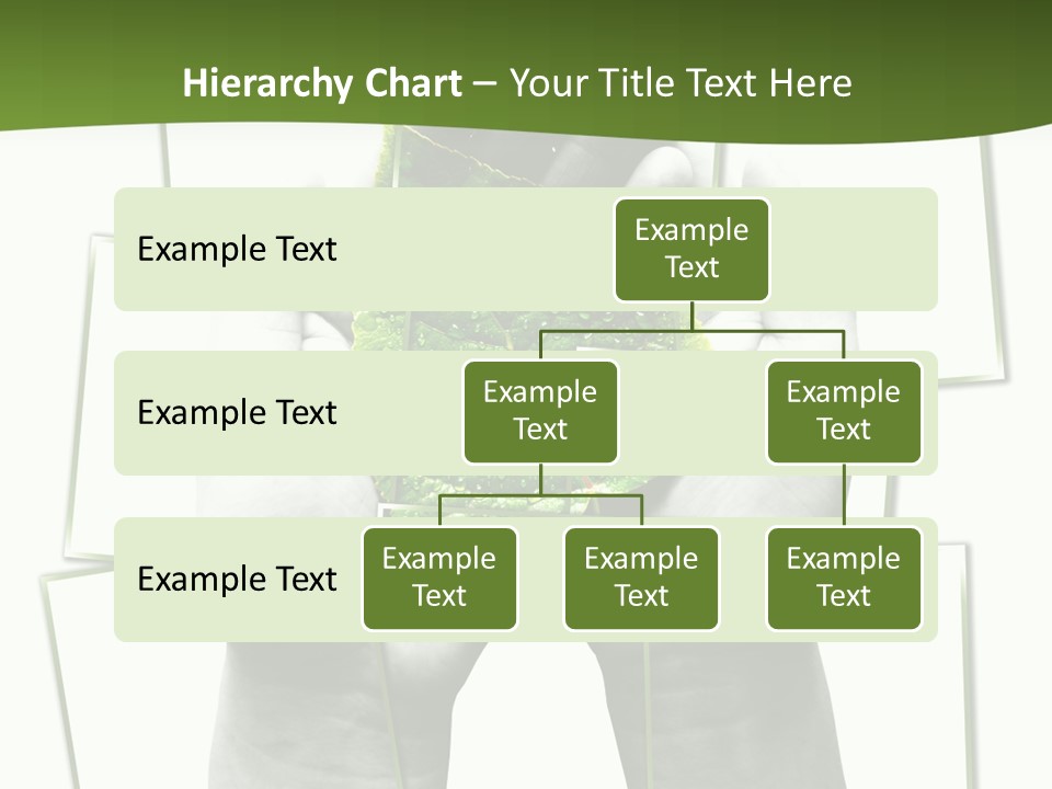 Photo Collage.green Leaf In Human Hands PowerPoint Template