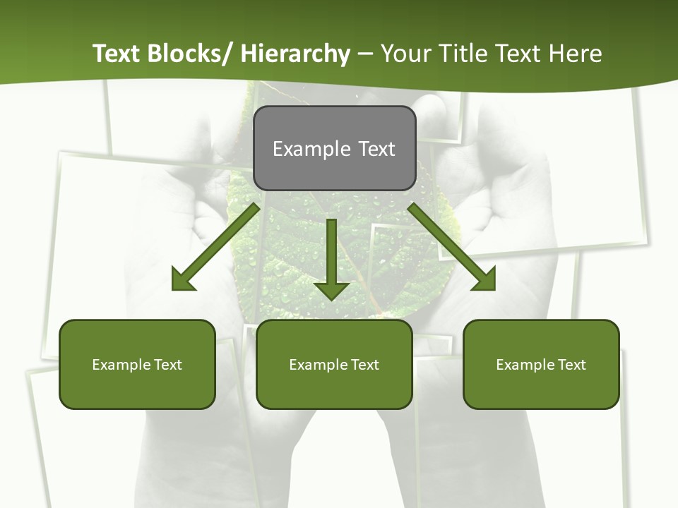 Photo Collage.green Leaf In Human Hands PowerPoint Template