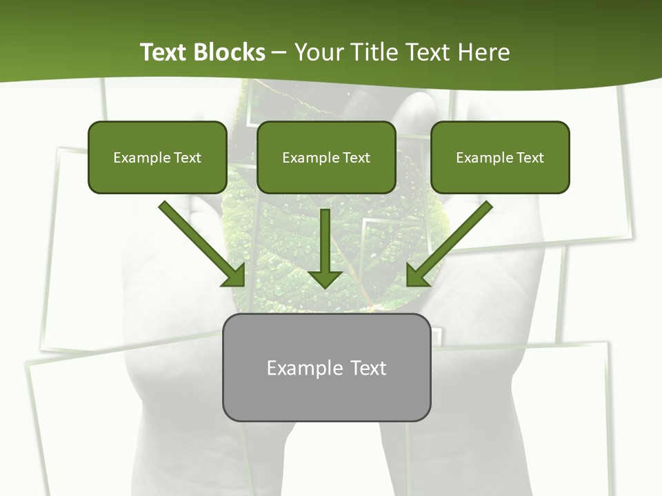 Photo Collage.green Leaf In Human Hands PowerPoint Template