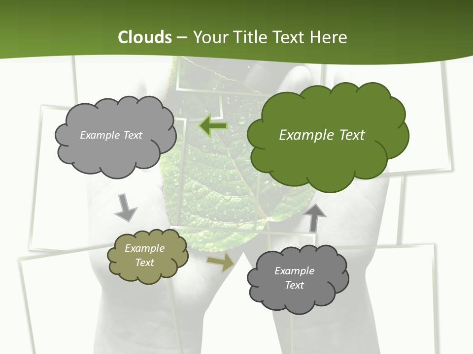 Photo Collage.green Leaf In Human Hands PowerPoint Template
