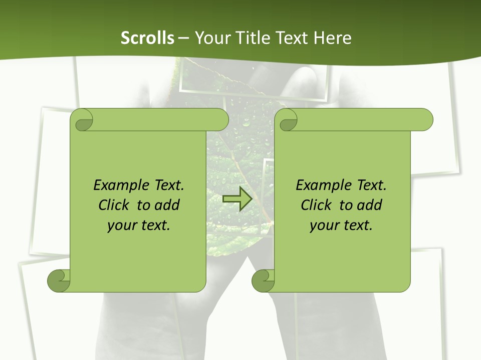 Photo Collage.green Leaf In Human Hands PowerPoint Template