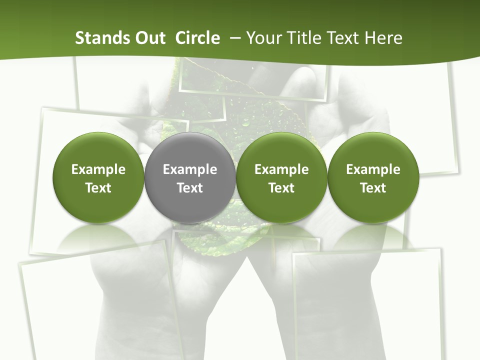 Photo Collage.green Leaf In Human Hands PowerPoint Template