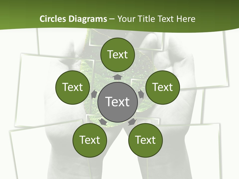 Photo Collage.green Leaf In Human Hands PowerPoint Template