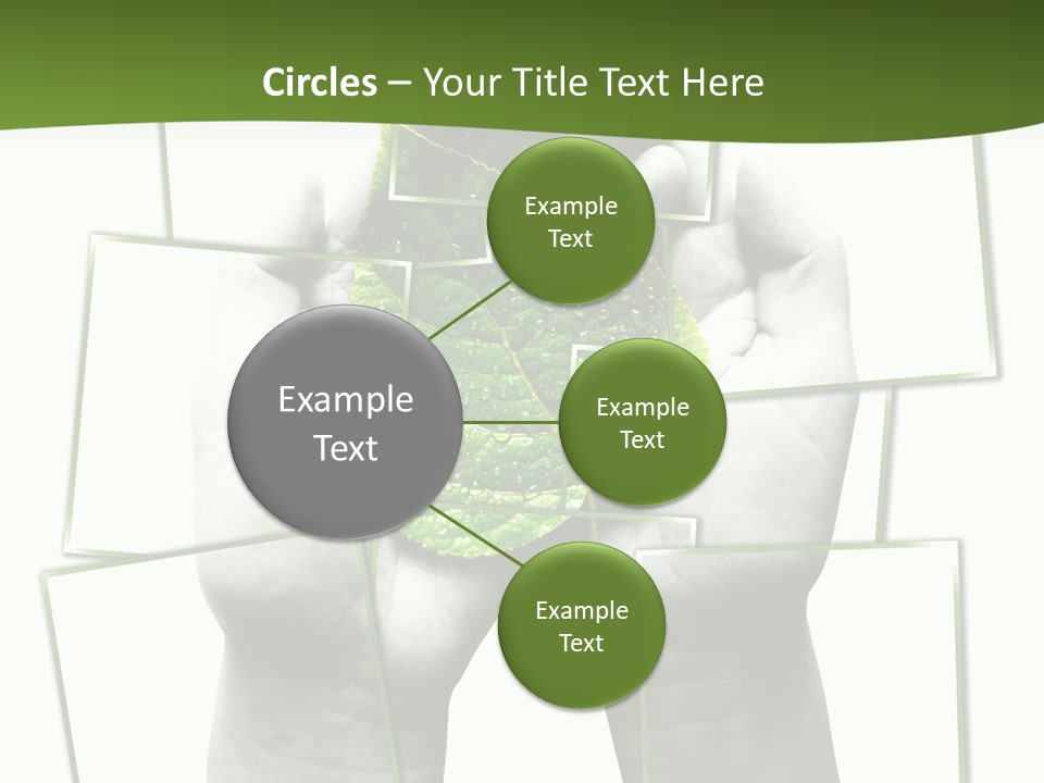 Photo Collage.green Leaf In Human Hands PowerPoint Template