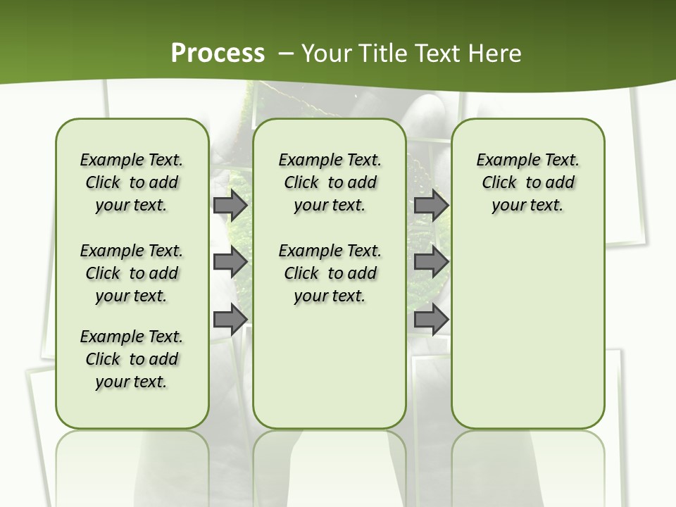 Photo Collage.green Leaf In Human Hands PowerPoint Template