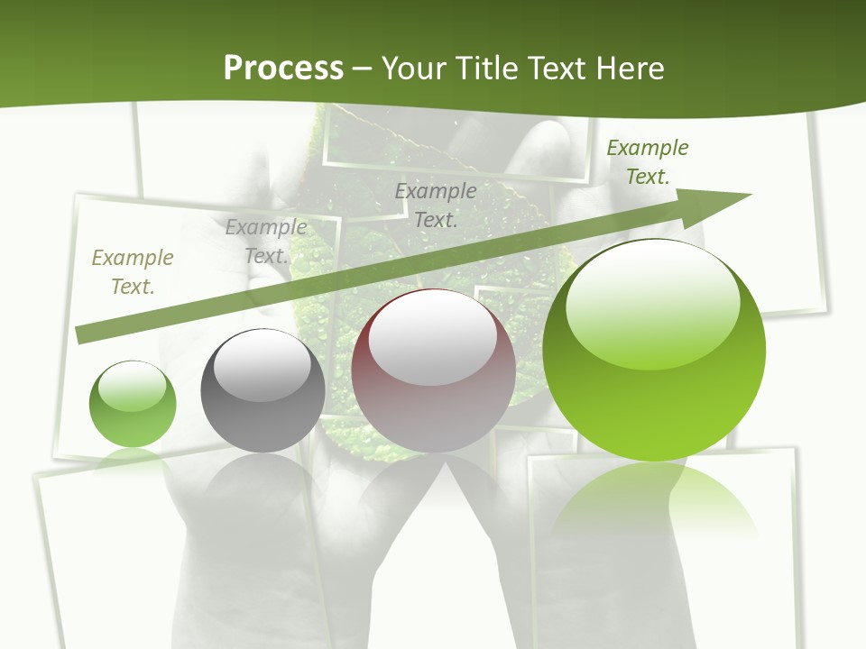 Photo Collage.green Leaf In Human Hands PowerPoint Template