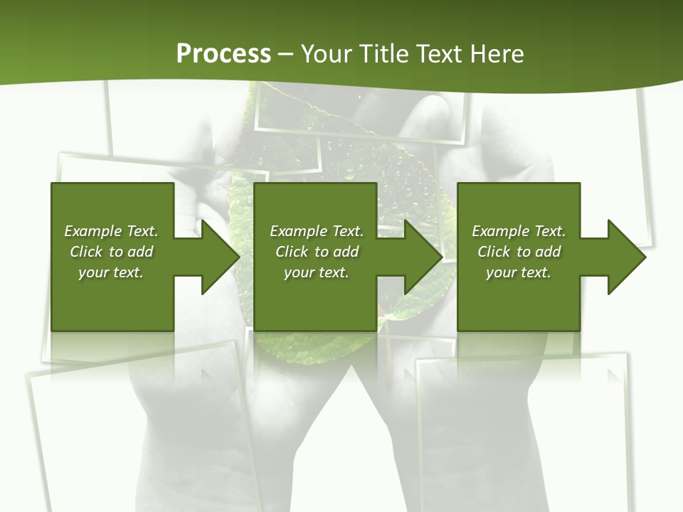 Photo Collage.green Leaf In Human Hands PowerPoint Template