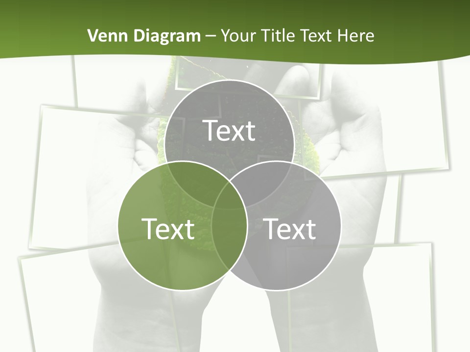 Photo Collage.green Leaf In Human Hands PowerPoint Template