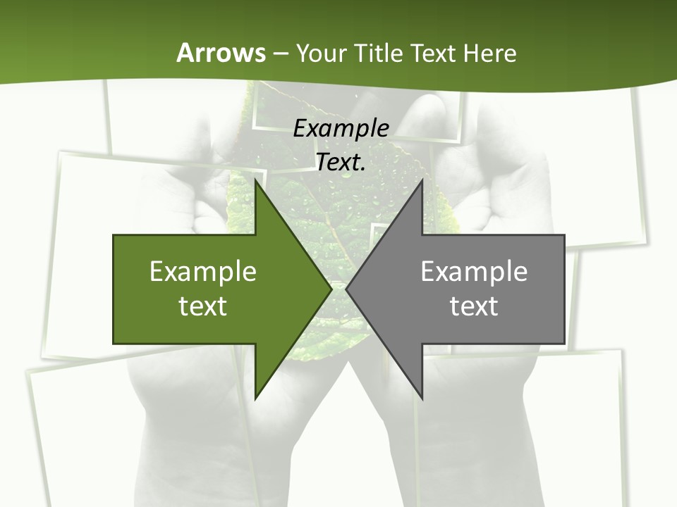 Photo Collage.green Leaf In Human Hands PowerPoint Template