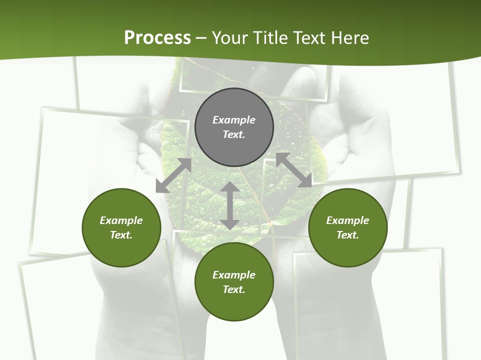 Photo Collage.green Leaf In Human Hands PowerPoint Template