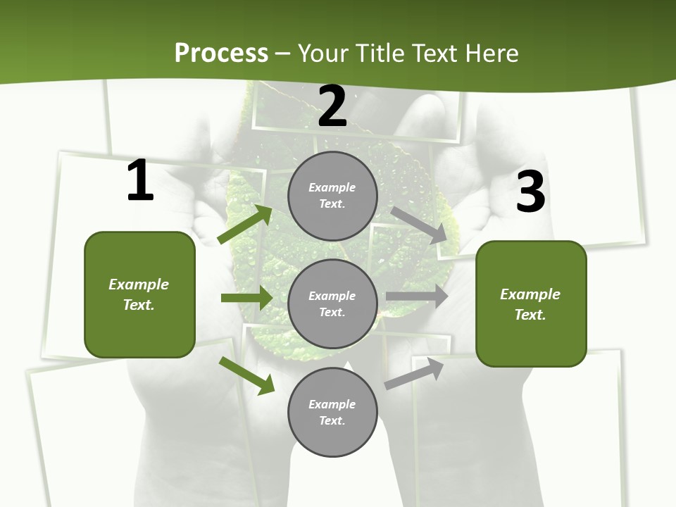 Photo Collage.green Leaf In Human Hands PowerPoint Template