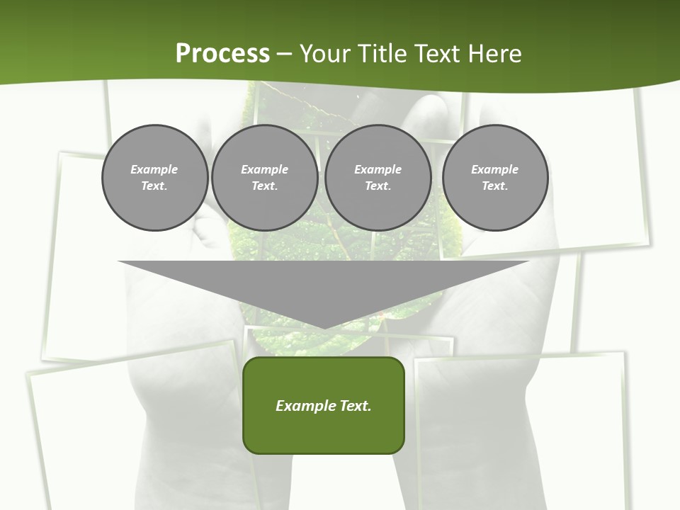 Photo Collage.green Leaf In Human Hands PowerPoint Template