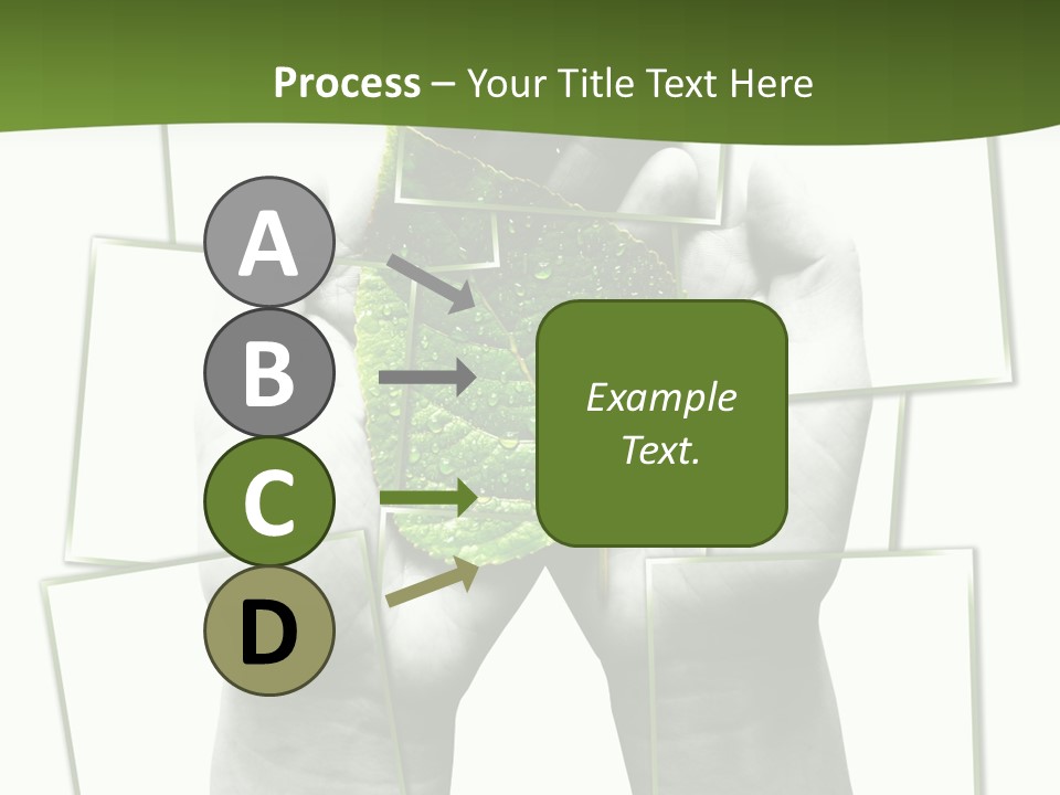 Photo Collage.green Leaf In Human Hands PowerPoint Template