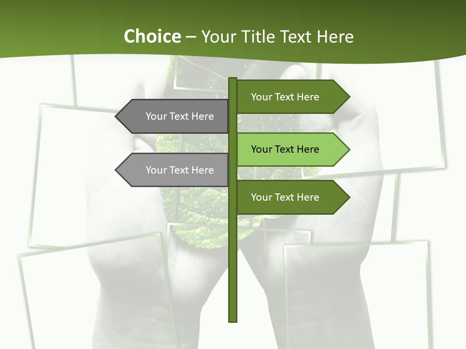Photo Collage.green Leaf In Human Hands PowerPoint Template