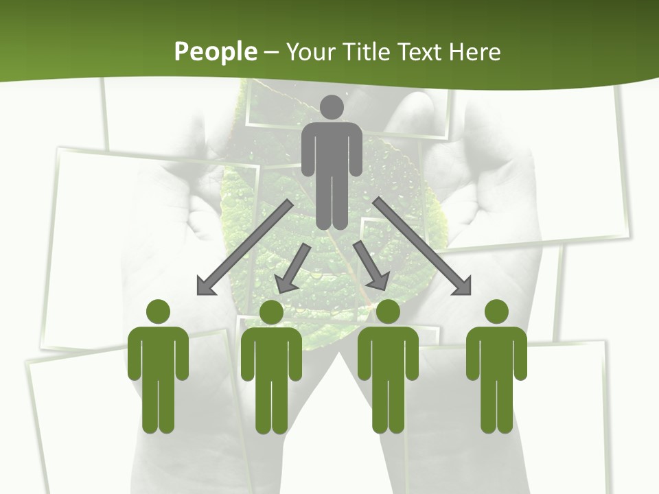 Photo Collage.green Leaf In Human Hands PowerPoint Template