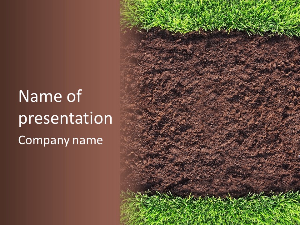 Healthy Grass And Soil Background Similar Available In My Portfolio PowerPoint Template