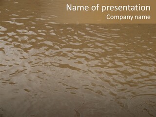 Pond Of Muddy Water Following A Flood PowerPoint Template