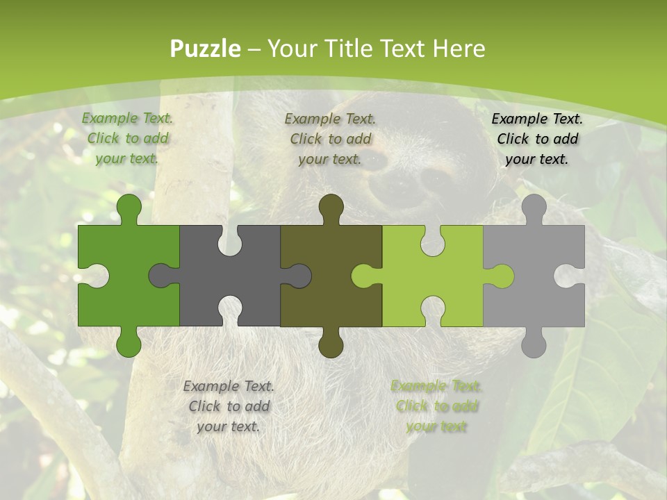 Sloth, Three Toe Juvenile Or Baby In Mango Tree, Cahuita, Costa Rica , Latin America, Exotic Mammal In Tropical Jungle PowerPoint Template