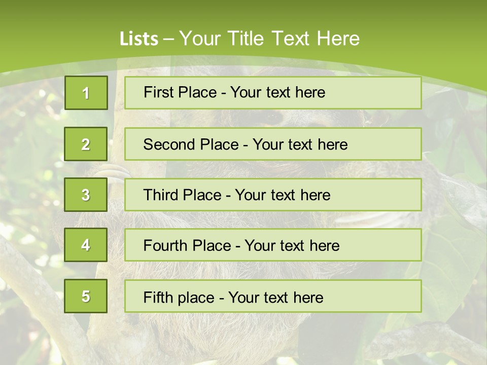 Sloth, Three Toe Juvenile Or Baby In Mango Tree, Cahuita, Costa Rica , Latin America, Exotic Mammal In Tropical Jungle PowerPoint Template