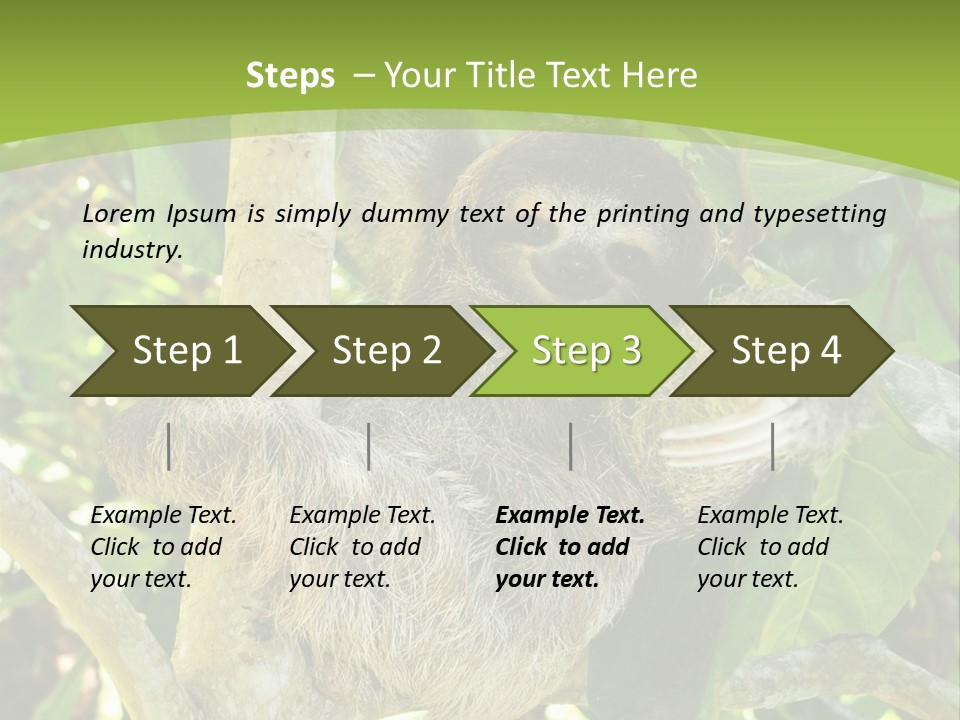 Sloth, Three Toe Juvenile Or Baby In Mango Tree, Cahuita, Costa Rica , Latin America, Exotic Mammal In Tropical Jungle PowerPoint Template