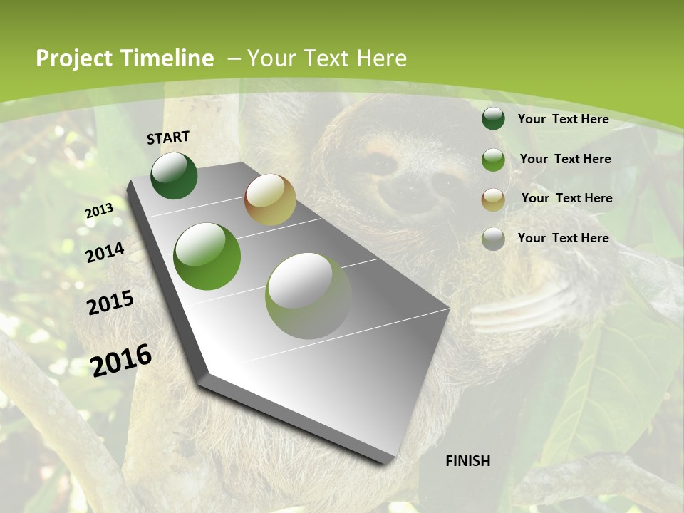 Sloth, Three Toe Juvenile Or Baby In Mango Tree, Cahuita, Costa Rica , Latin America, Exotic Mammal In Tropical Jungle PowerPoint Template