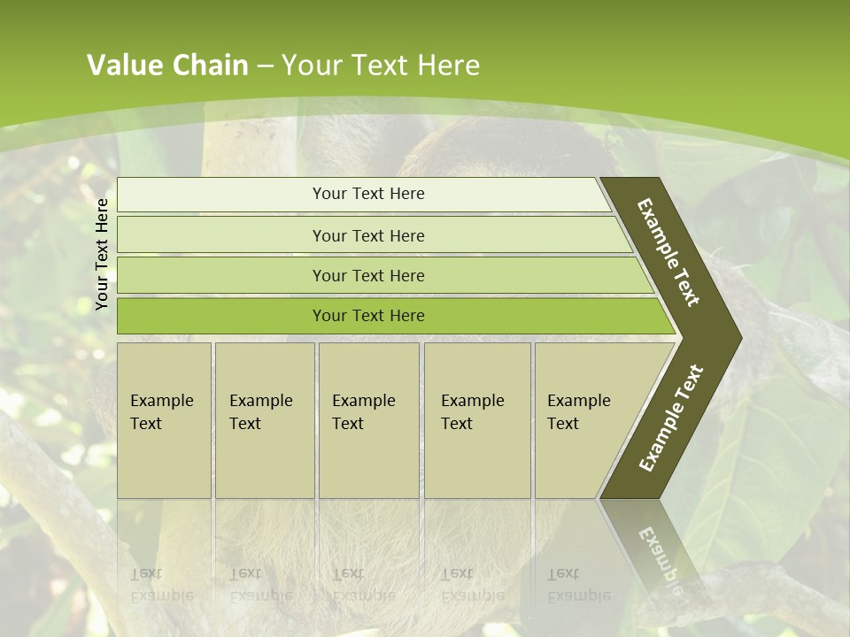 Sloth, Three Toe Juvenile Or Baby In Mango Tree, Cahuita, Costa Rica , Latin America, Exotic Mammal In Tropical Jungle PowerPoint Template