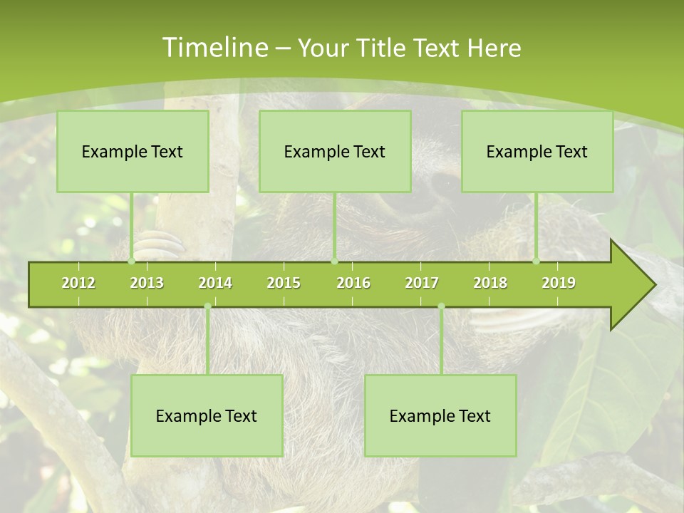 Sloth, Three Toe Juvenile Or Baby In Mango Tree, Cahuita, Costa Rica , Latin America, Exotic Mammal In Tropical Jungle PowerPoint Template