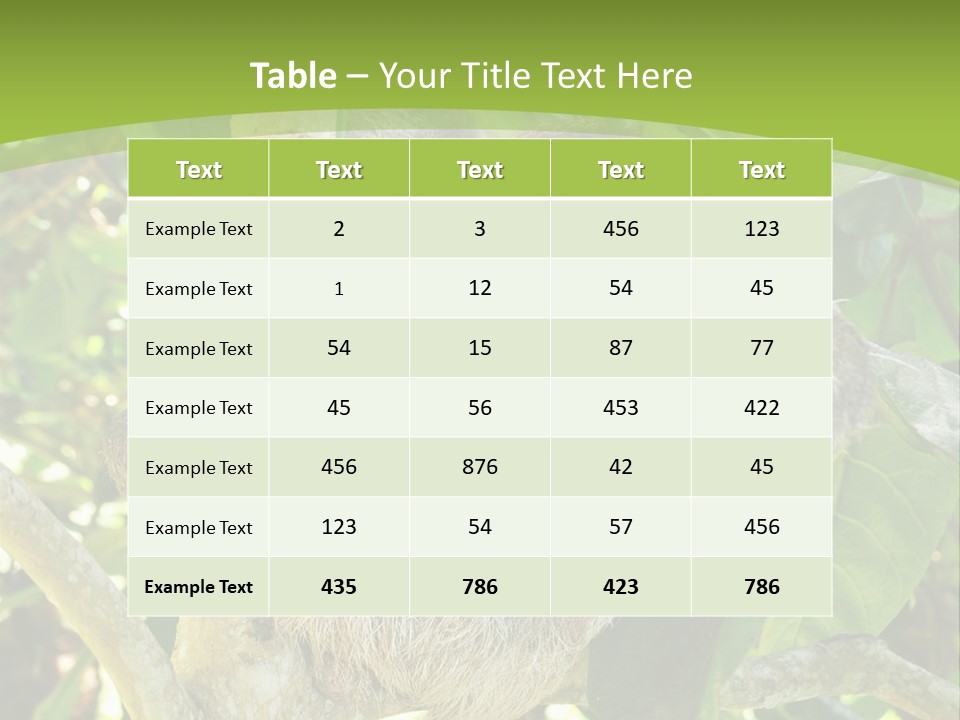 Sloth, Three Toe Juvenile Or Baby In Mango Tree, Cahuita, Costa Rica , Latin America, Exotic Mammal In Tropical Jungle PowerPoint Template