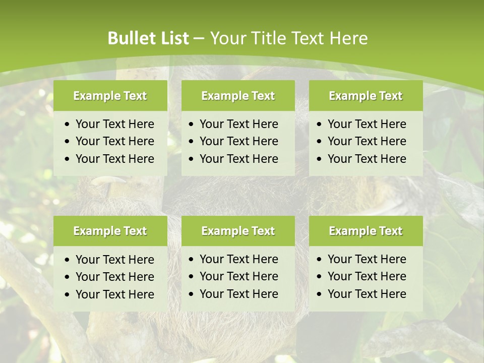 Sloth, Three Toe Juvenile Or Baby In Mango Tree, Cahuita, Costa Rica , Latin America, Exotic Mammal In Tropical Jungle PowerPoint Template
