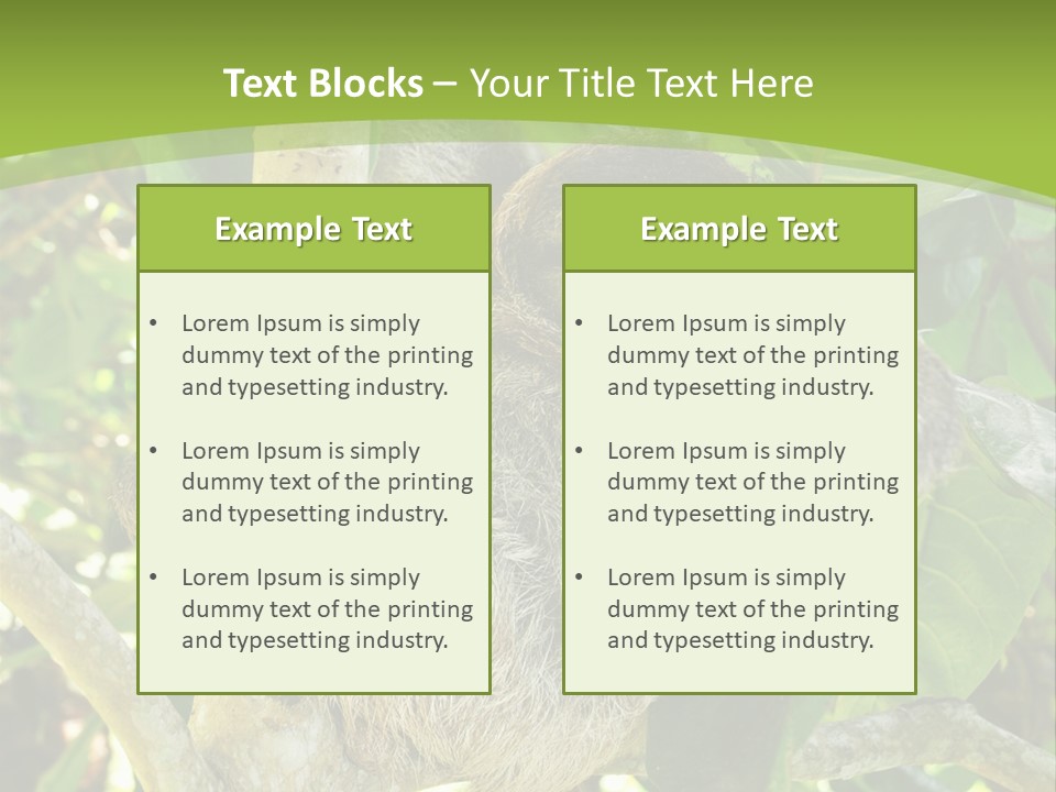 Sloth, Three Toe Juvenile Or Baby In Mango Tree, Cahuita, Costa Rica , Latin America, Exotic Mammal In Tropical Jungle PowerPoint Template