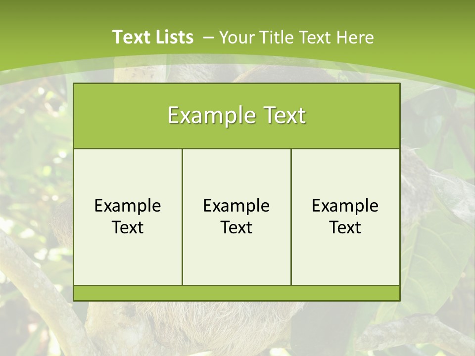 Sloth, Three Toe Juvenile Or Baby In Mango Tree, Cahuita, Costa Rica , Latin America, Exotic Mammal In Tropical Jungle PowerPoint Template