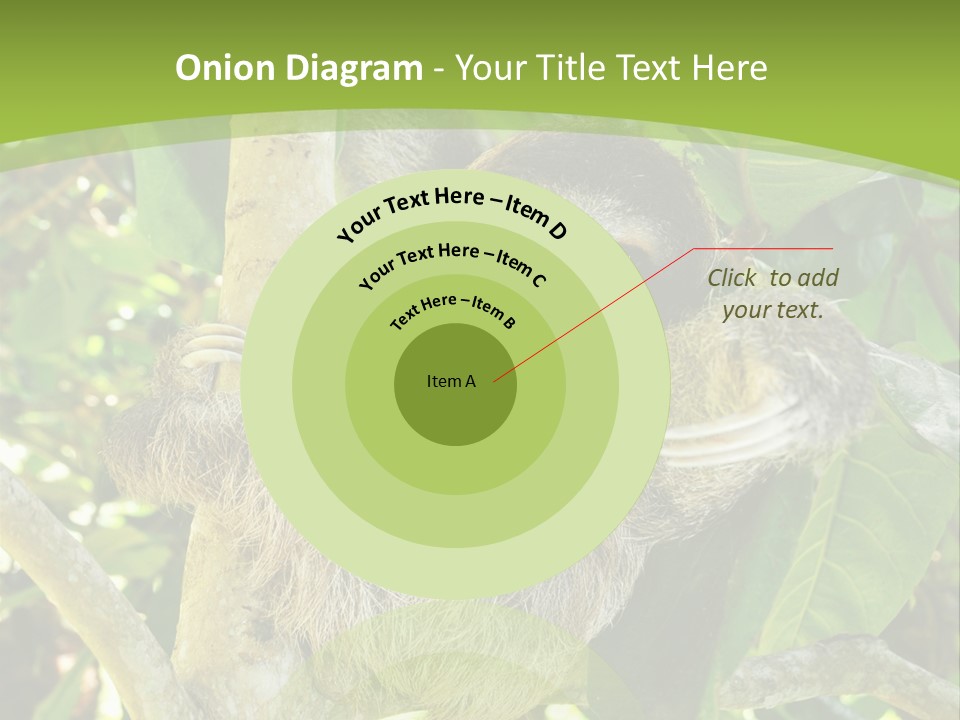 Sloth, Three Toe Juvenile Or Baby In Mango Tree, Cahuita, Costa Rica , Latin America, Exotic Mammal In Tropical Jungle PowerPoint Template