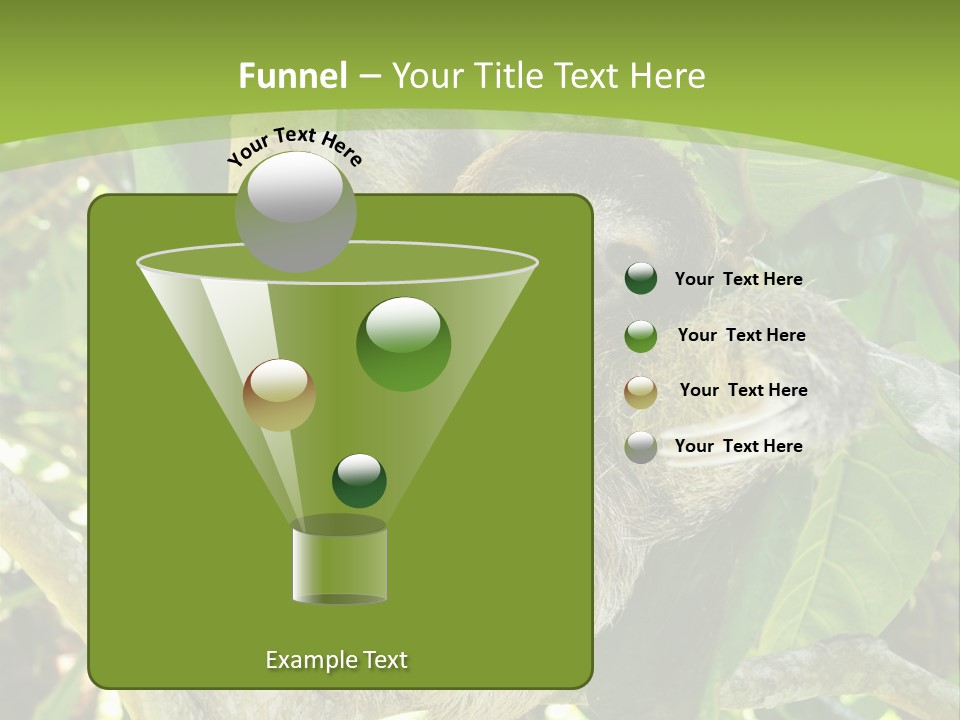 Sloth, Three Toe Juvenile Or Baby In Mango Tree, Cahuita, Costa Rica , Latin America, Exotic Mammal In Tropical Jungle PowerPoint Template