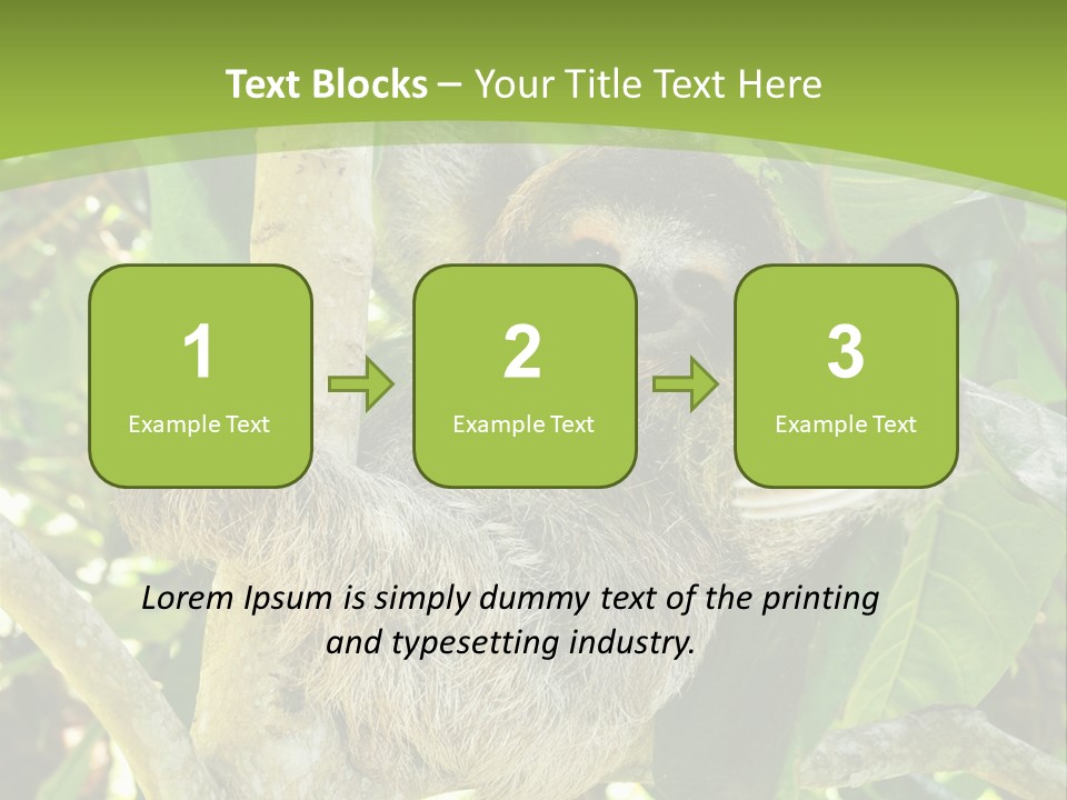 Sloth, Three Toe Juvenile Or Baby In Mango Tree, Cahuita, Costa Rica , Latin America, Exotic Mammal In Tropical Jungle PowerPoint Template